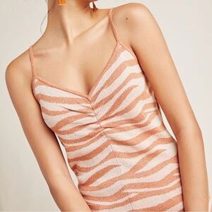 Anthropologie Cora Zebra Striped Tank Small